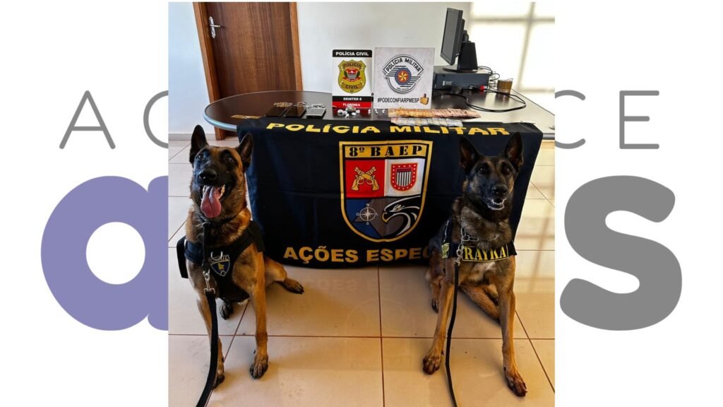 Operação conjunta do BAEP e Polícia Civil em Florínea apreende drogas com ajuda da cadela Rayka. Homem é preso por tráfico. Veja detalhes.