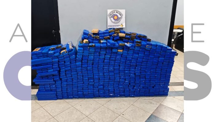 05-08-apreensao-drogas-hotel-assis-616kg