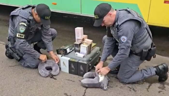 #18-01-tor-assis-apreensao-mounjaro-almofadas-pescoco-onibus-lacrado