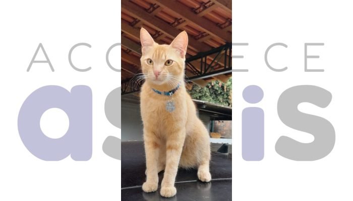 #19-03-procura-se-jhonis-desaparecido-condominio-flamboyantes-assis