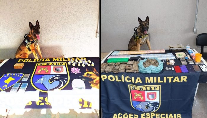 #21-12-k9-rayka-baep-assis-drogas-agua-paulista-pacaembu