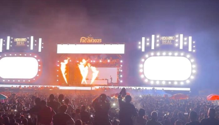 #22-11-dj-alok-show-ficar-2025-assis-multidao