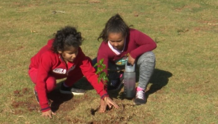 #26-09-parque-das-aguas-arborizacao-assis-2025