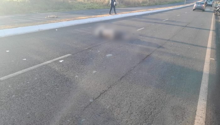 #2post-site-13-09-homem-morre-atropelado-ao-salvar-cachorro-assis