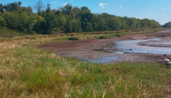 #30-09-assoreamento-represa-agua-do-cervo