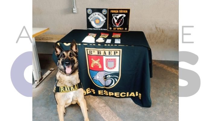 #5-11-baep-canil-forca-tatica-apreensao-drogas-assis