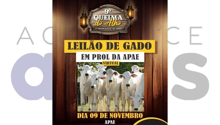 #5-11-queima-do-alho-assis-leilao-virtual-apae