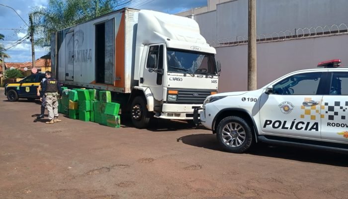 Imagem do WhatsApp de 2025-02-26 à(s) 16.53.02_d857fc93