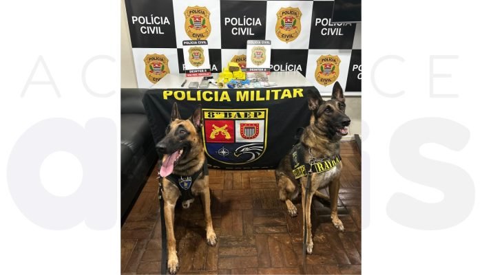 apreensao-baep-policia-civil-presidente-bernardes-04-04-2025