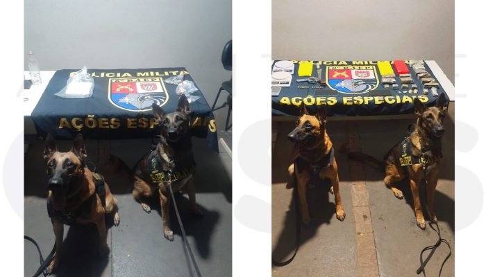 apreensao-drogas-baep-canil-assis-abril2025