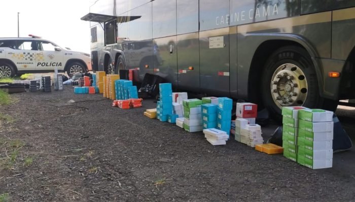 apreensao-mercadorias-ilegais-santa-cruz-do-rio-pardo-rodovia-marco-2025 (1)