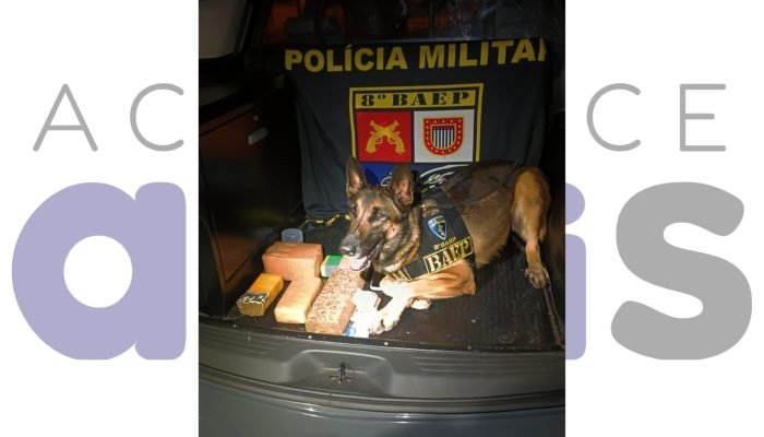 BAEP apreende 4 kg de maconha escondidos em guarda-roupa em Martinópolis. Ação com apoio do Canil resultou em prisão de suspeito. Saiba mais.