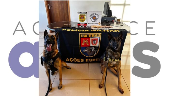 Operação conjunta do BAEP e Polícia Civil em Florínea apreende drogas com ajuda da cadela Rayka. Homem é preso por tráfico. Veja detalhes.