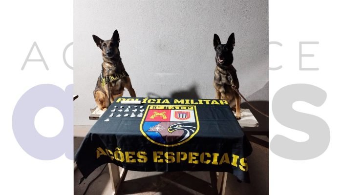 capa-cao-k9-rayka-encontra-drogas-no-telhado-em-assis-2025