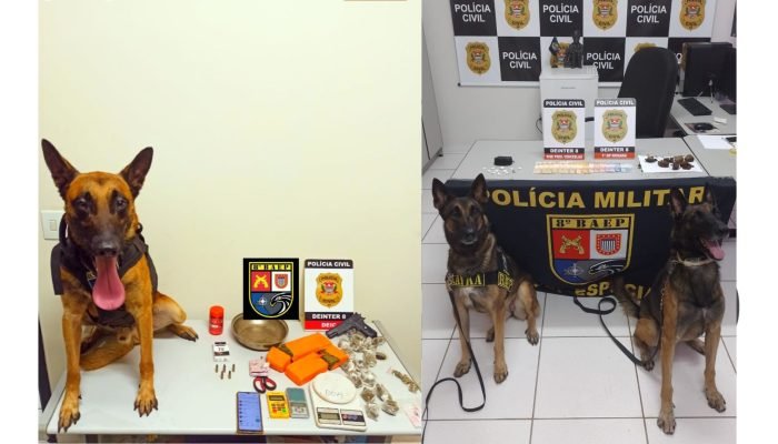 Operação com BAEP Canil de Assis prende suspeitos e apreende drogas e munições em Presidente Prudente e Primavera. Veja detalhes da ação.