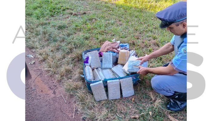 Mulher é presa com 14,9 kg de Skunk em ônibus internacional na SP-327, em Ourinhos. Ela viajava com bebê. Caso foi levado à Polícia Federal de Marília.