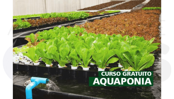 curso-gratuito-aquaponia-assis-abril-2025