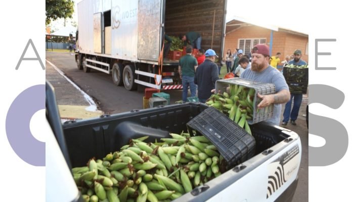Assis realiza a 26ª Festa do Milho de 4 a 6 de julho com shows, comidas típicas e renda destinada a entidades sociais. Veja a programação completa do evento.
