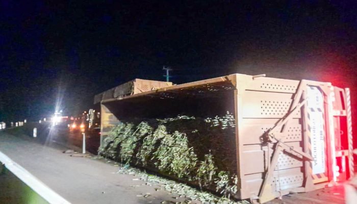 foto caminhao tombado 25-07